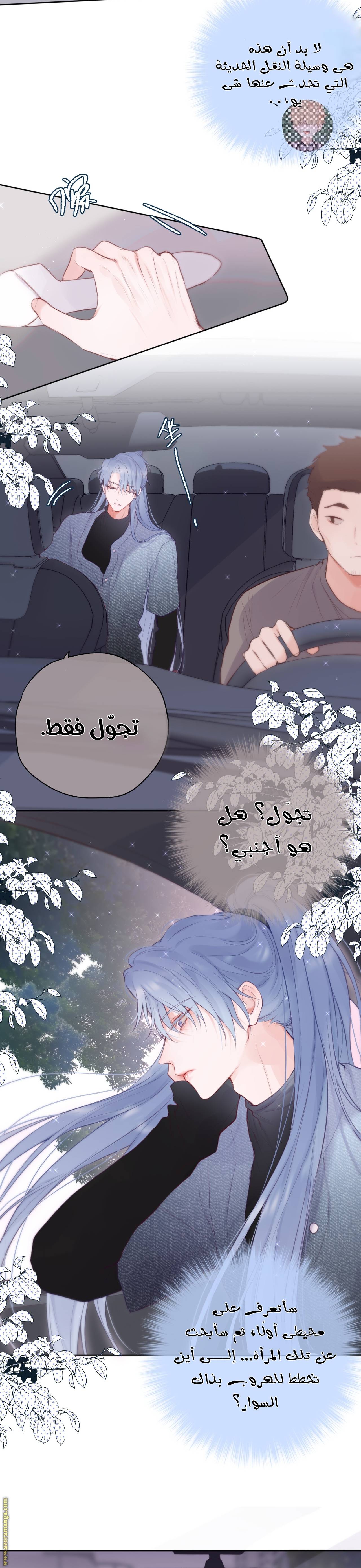 الصفحة 13