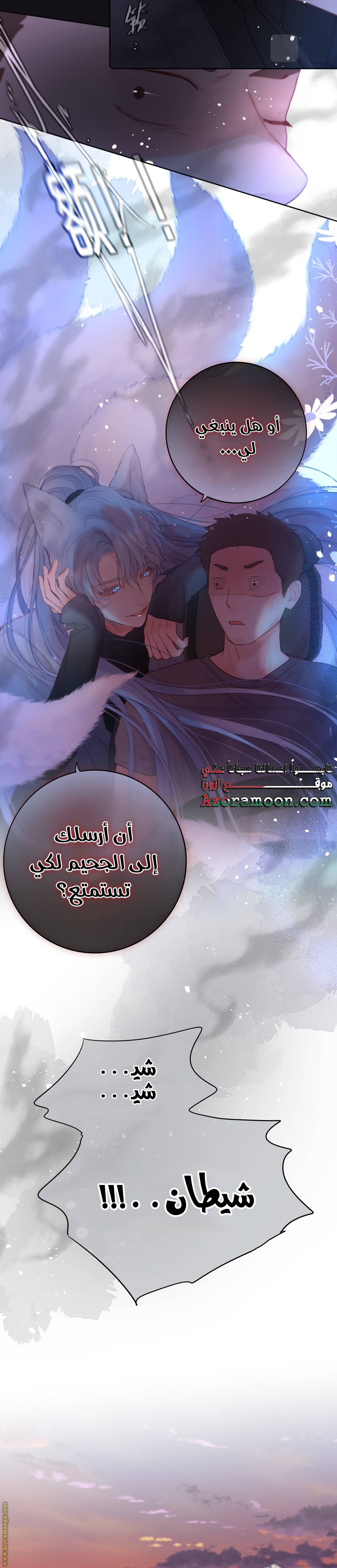 الصفحة 17