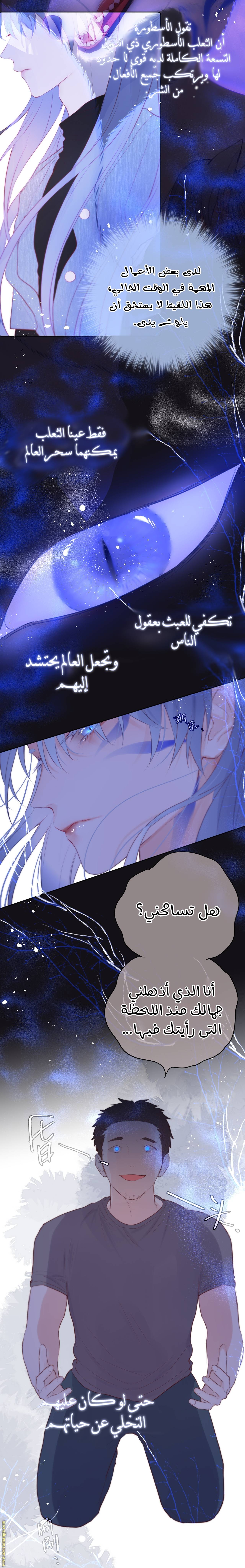 الصفحة 19
