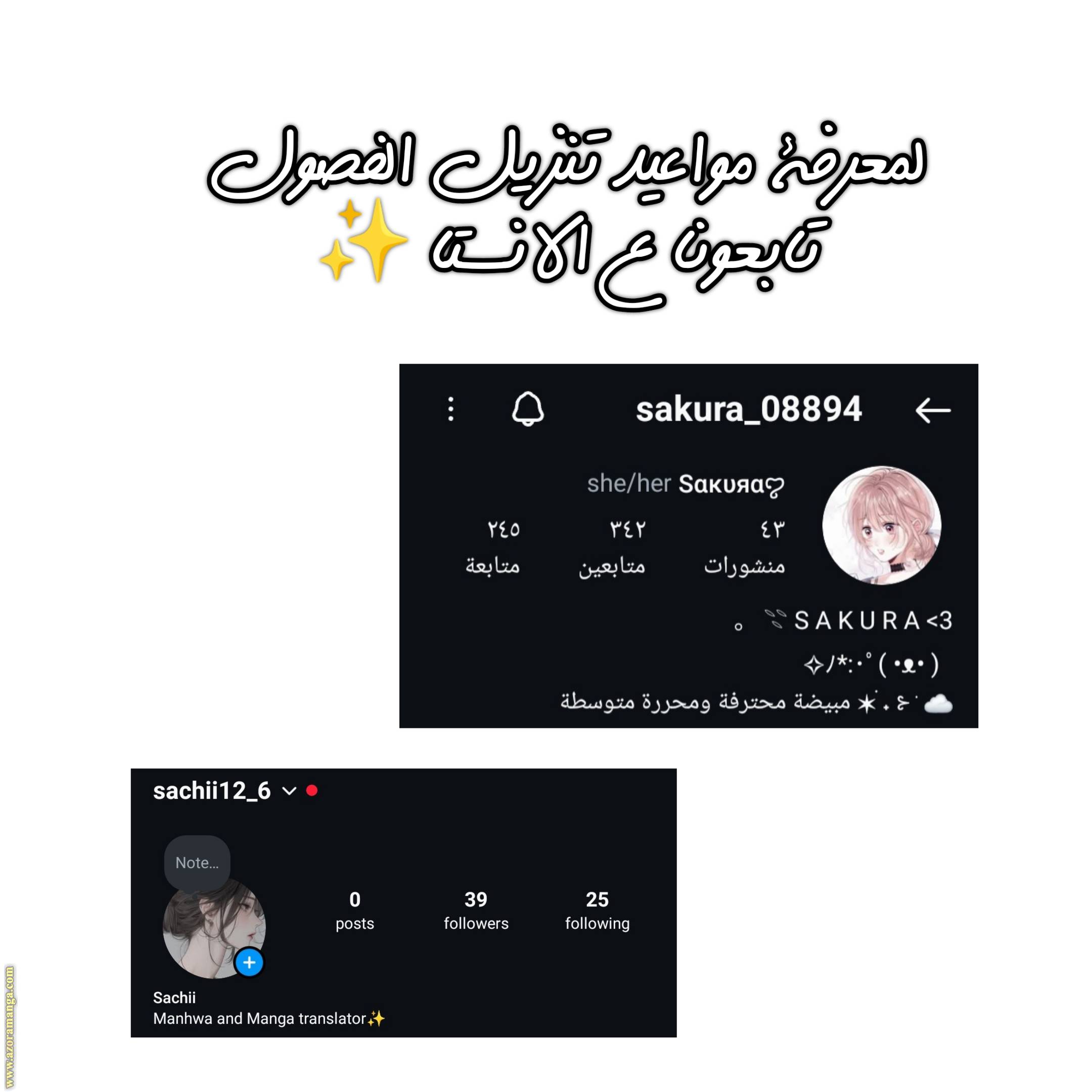 الصفحة 16