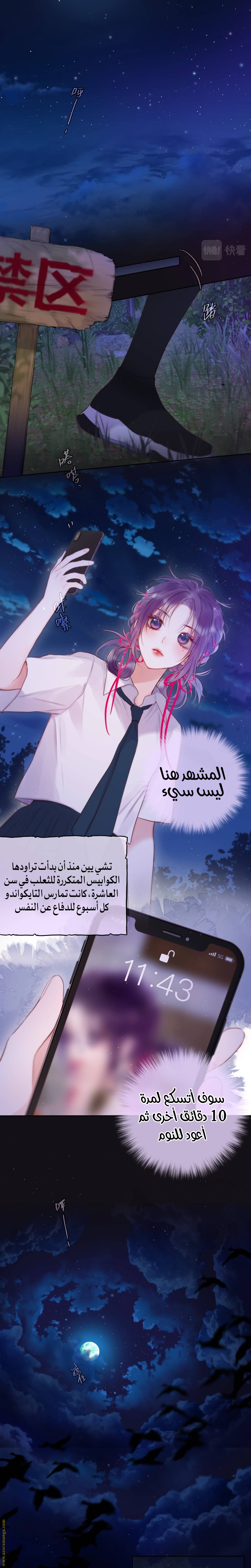 الصفحة 11