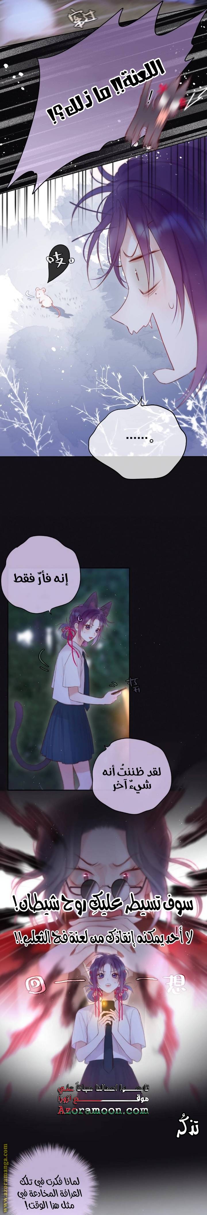 الصفحة 17