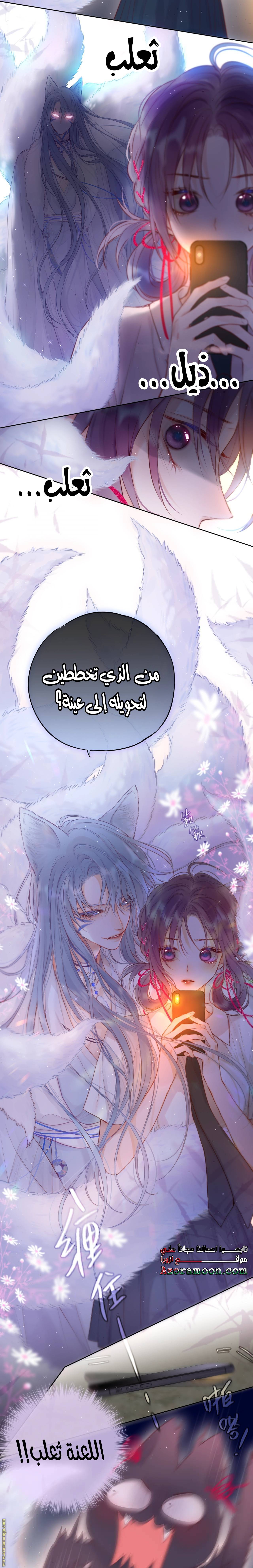 الصفحة 19