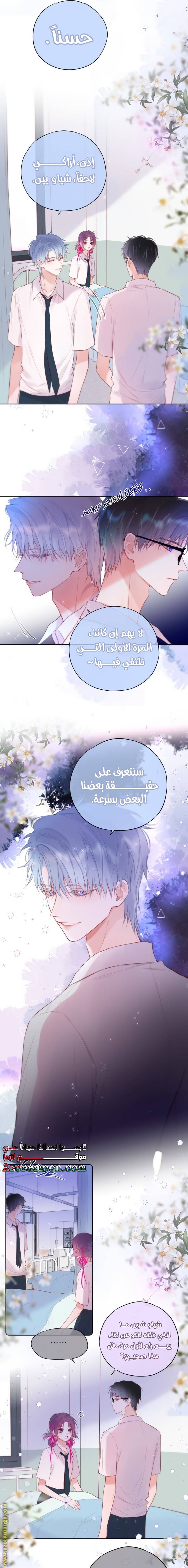 الصفحة 3