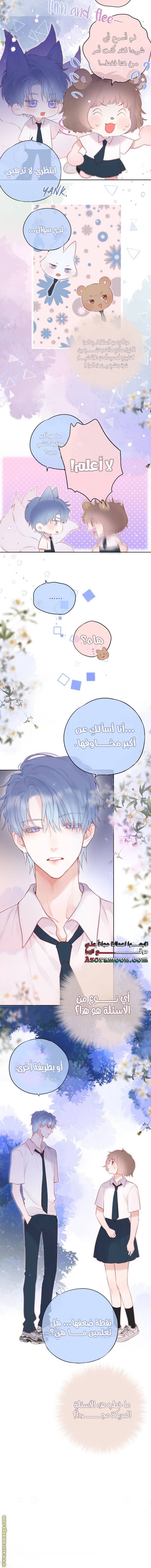 الصفحة 5