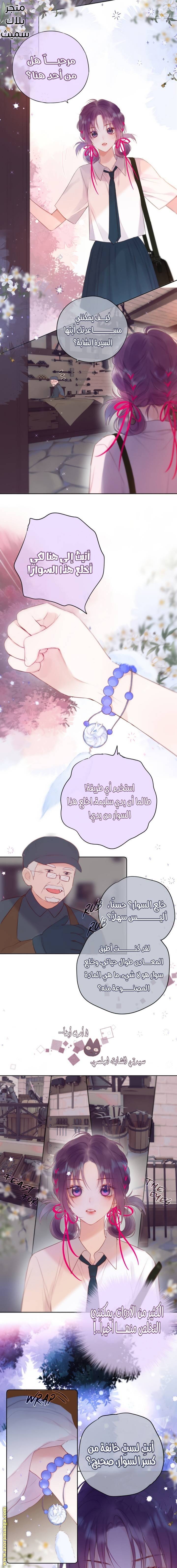 الصفحة 7