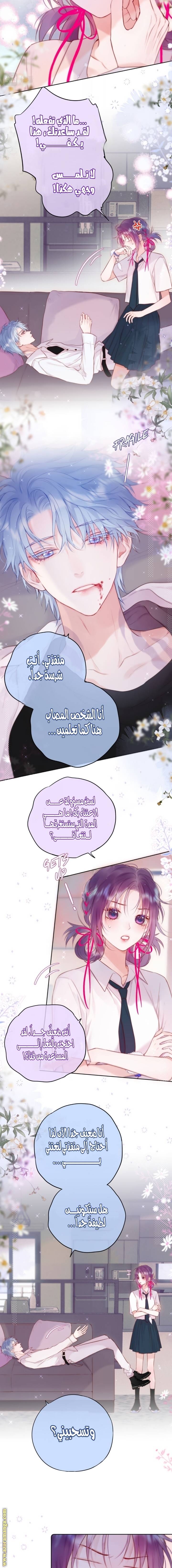 الصفحة 3