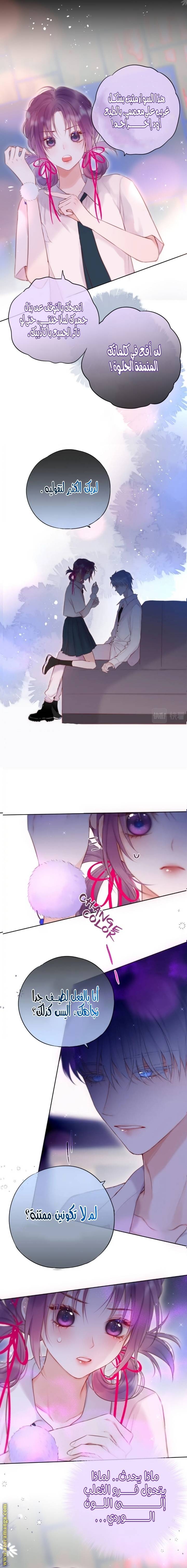 الصفحة 8