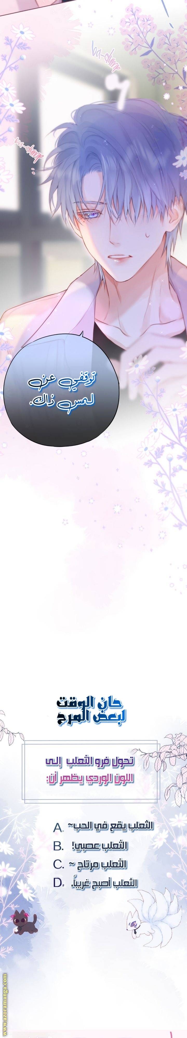 الصفحة 13