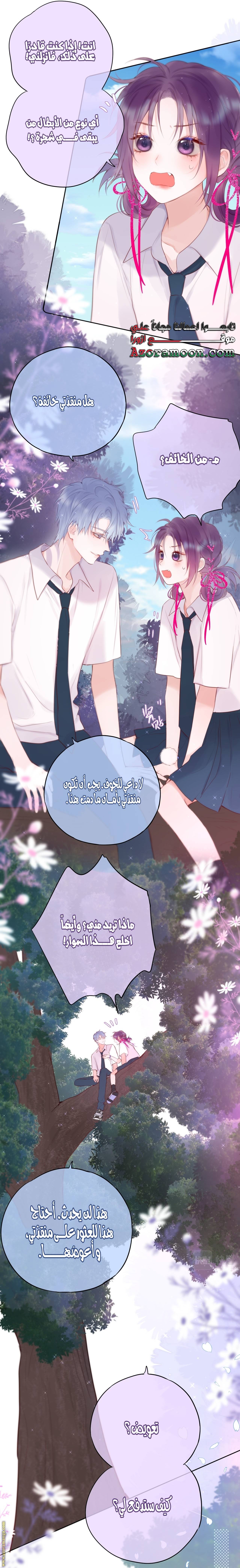 الصفحة 13