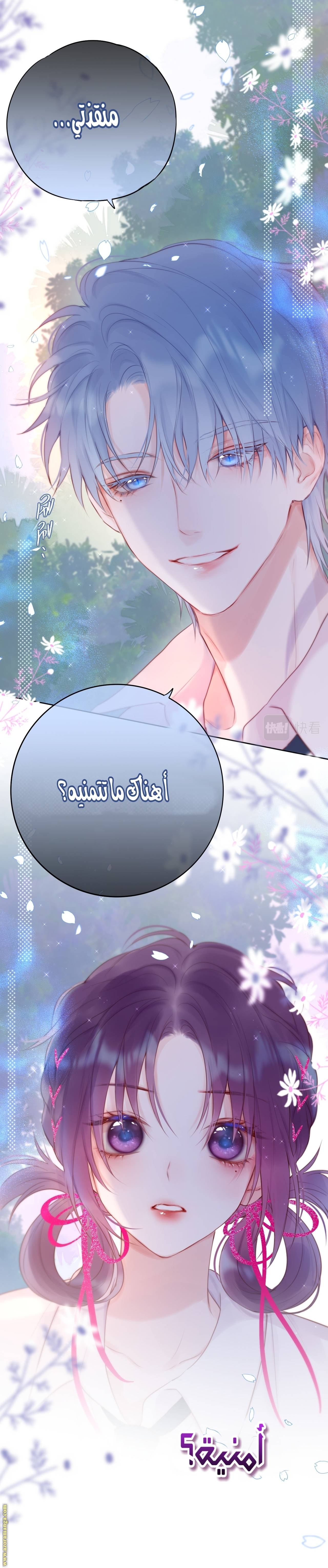 الصفحة 14
