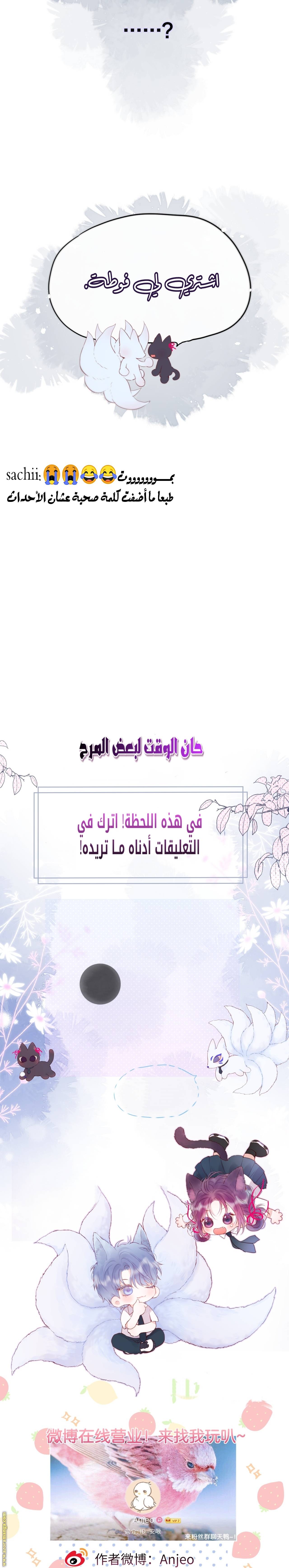 الصفحة 17