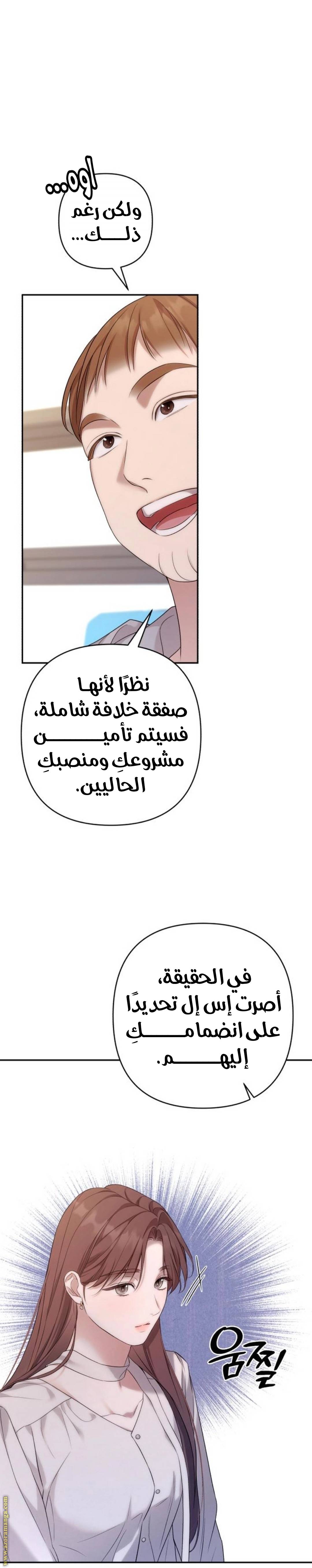 الصفحة 21