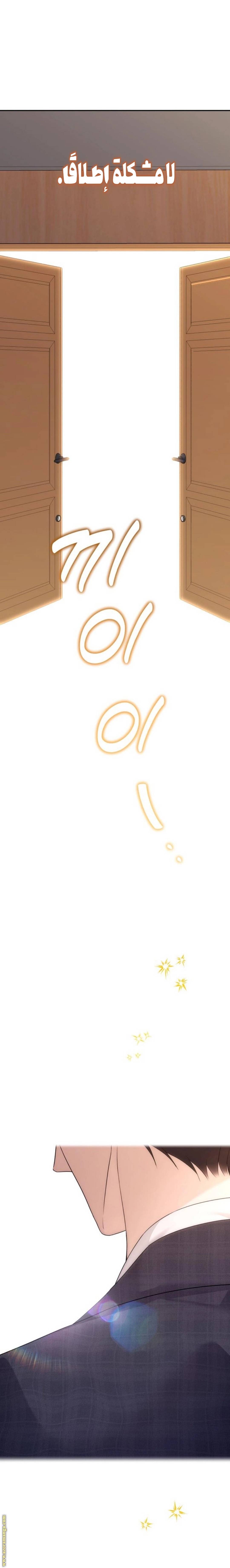 الصفحة 33