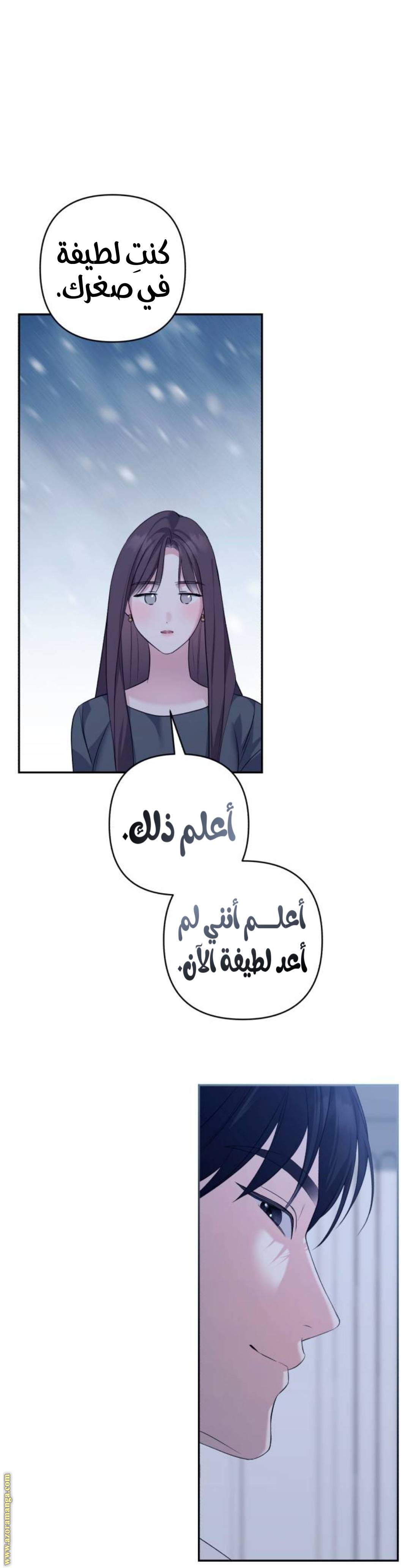الصفحة 30