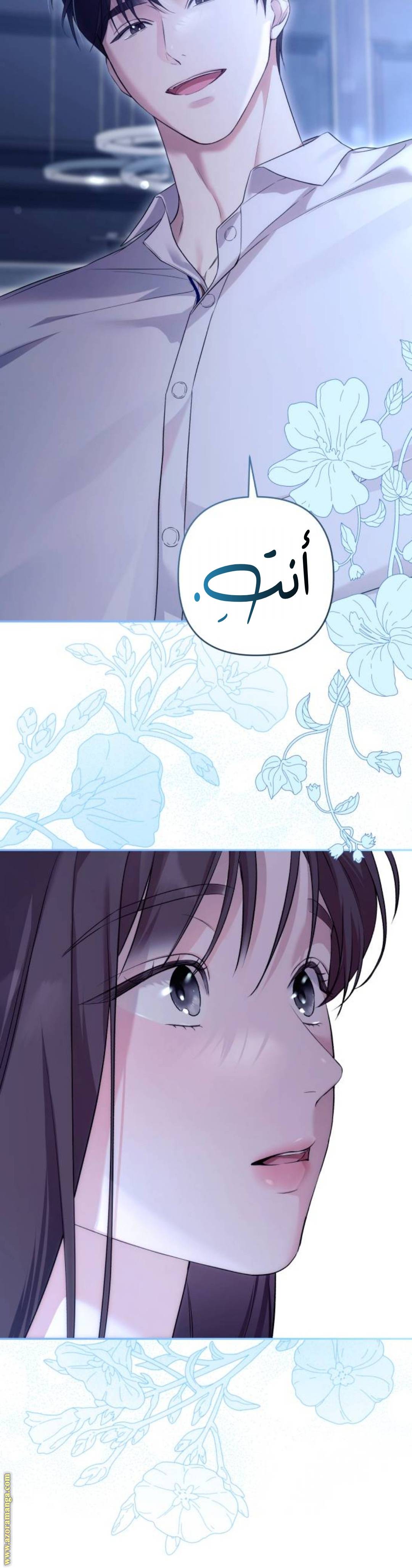الصفحة 40