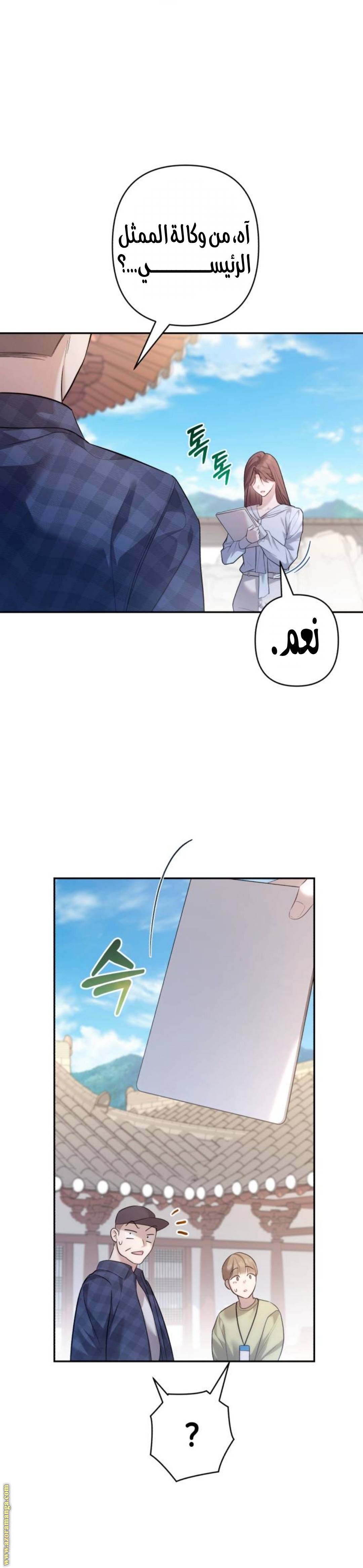 الصفحة 17