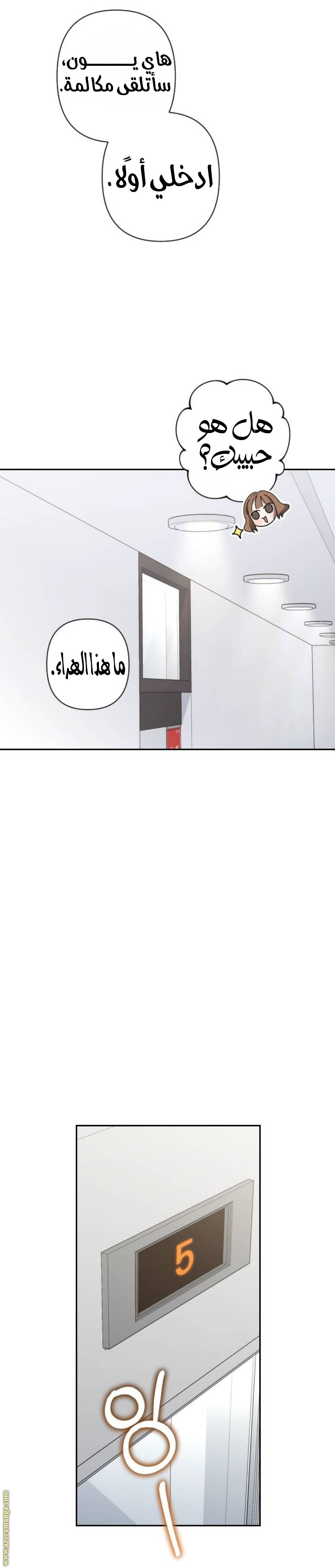 الصفحة 25