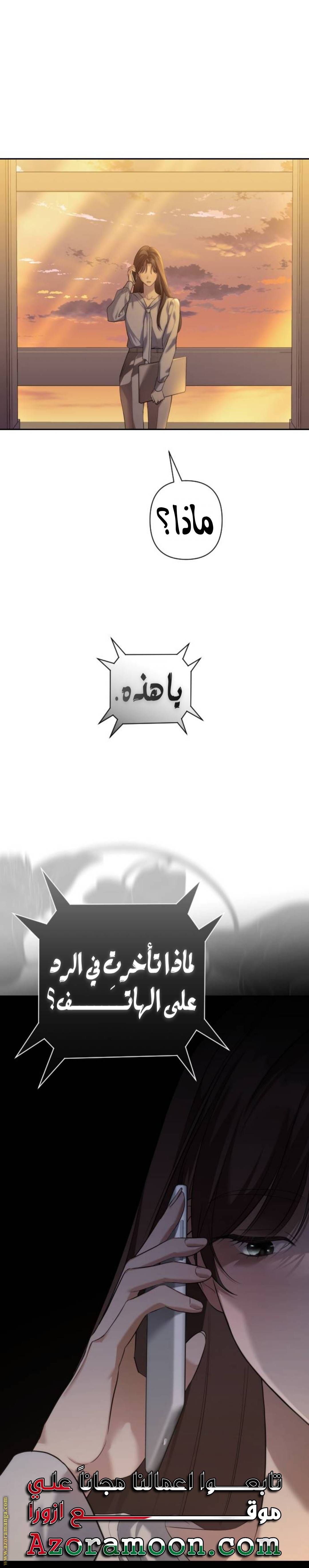 الصفحة 26