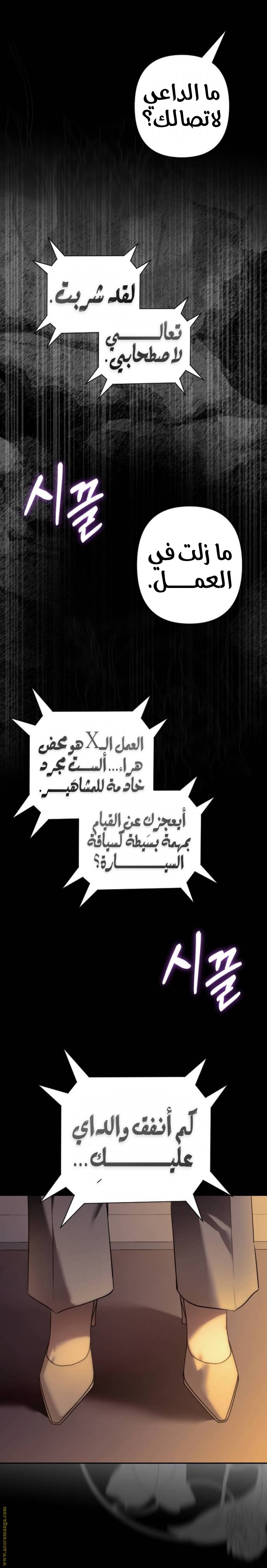 الصفحة 27