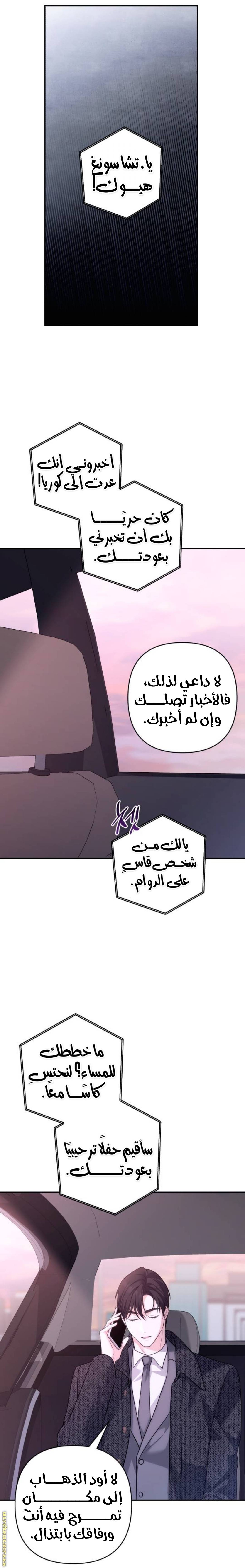 الصفحة 10