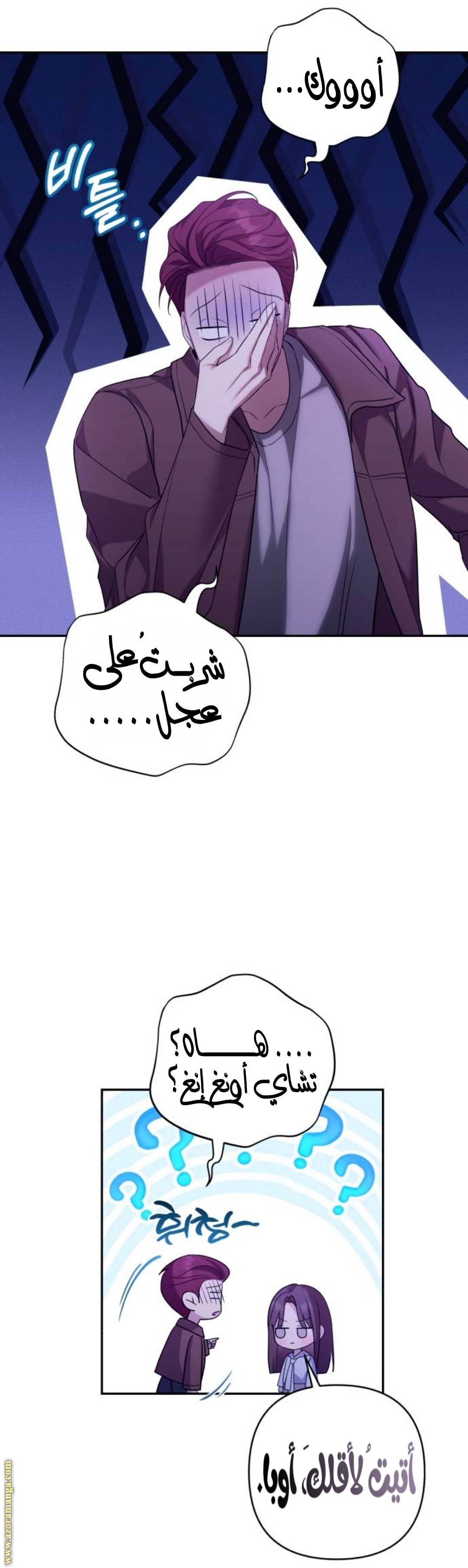 الصفحة 17