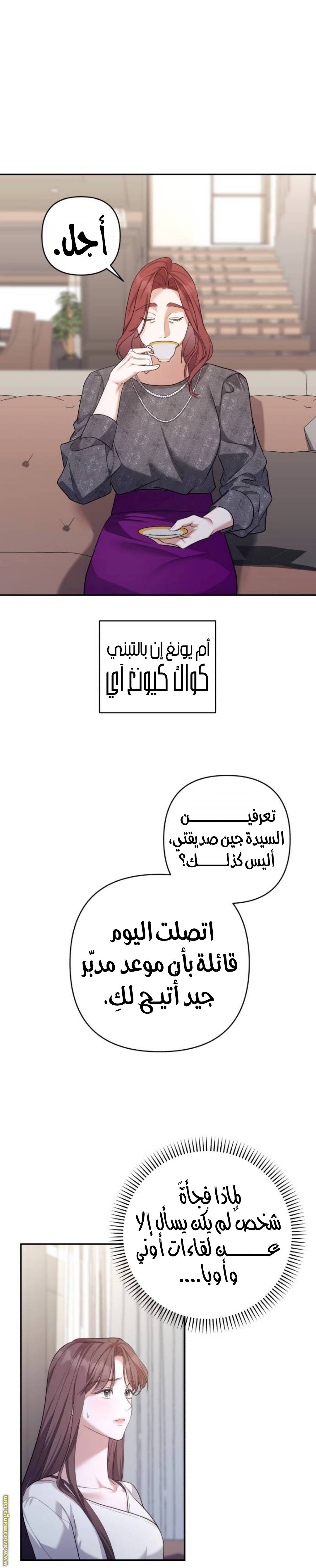 الصفحة 20