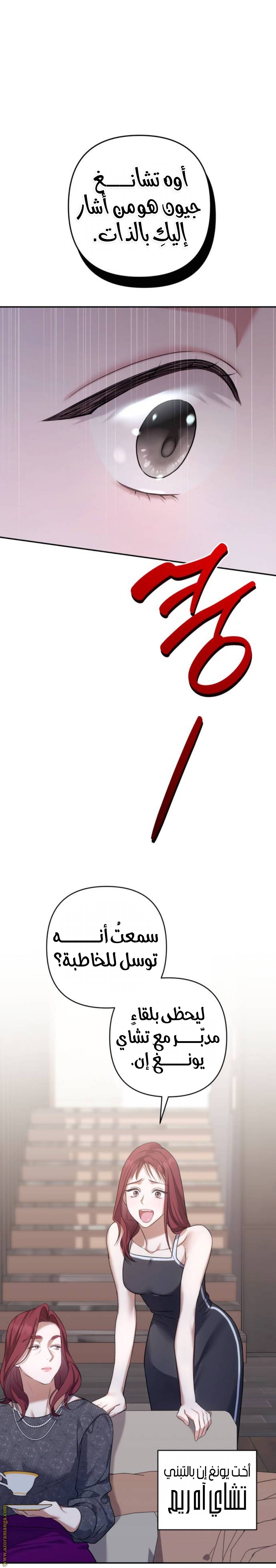 الصفحة 21