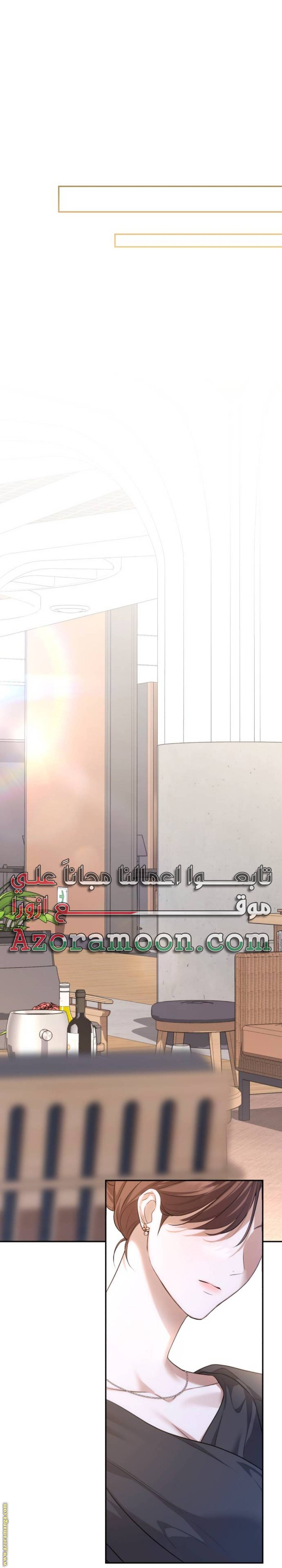 الصفحة 26