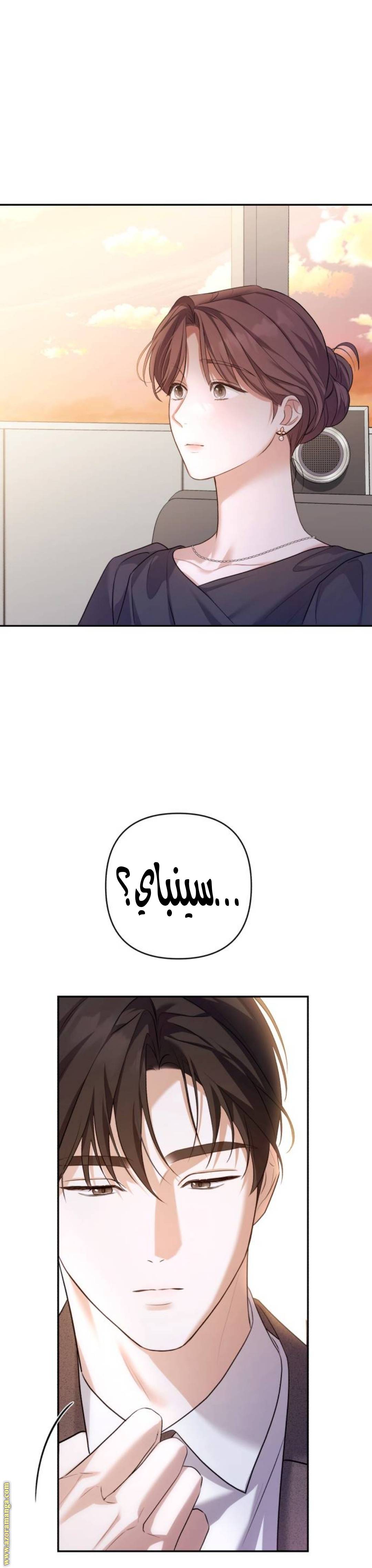 الصفحة 30