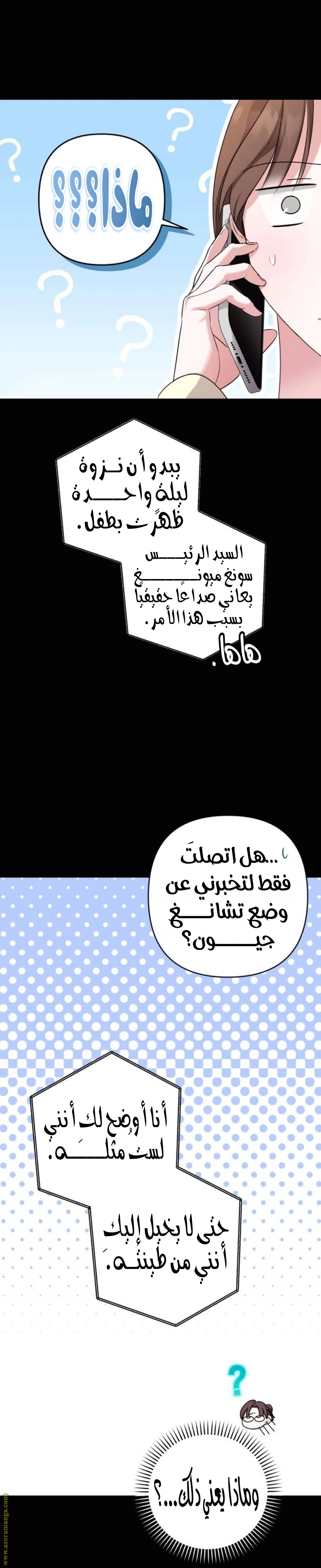 الصفحة 11