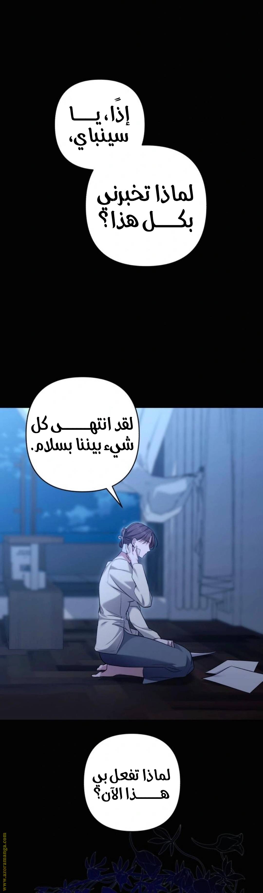 الصفحة 17