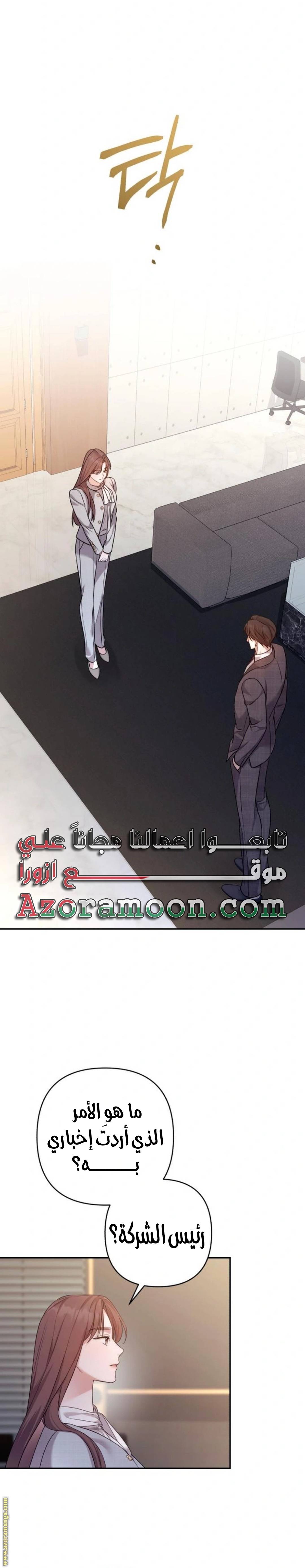 الصفحة 26