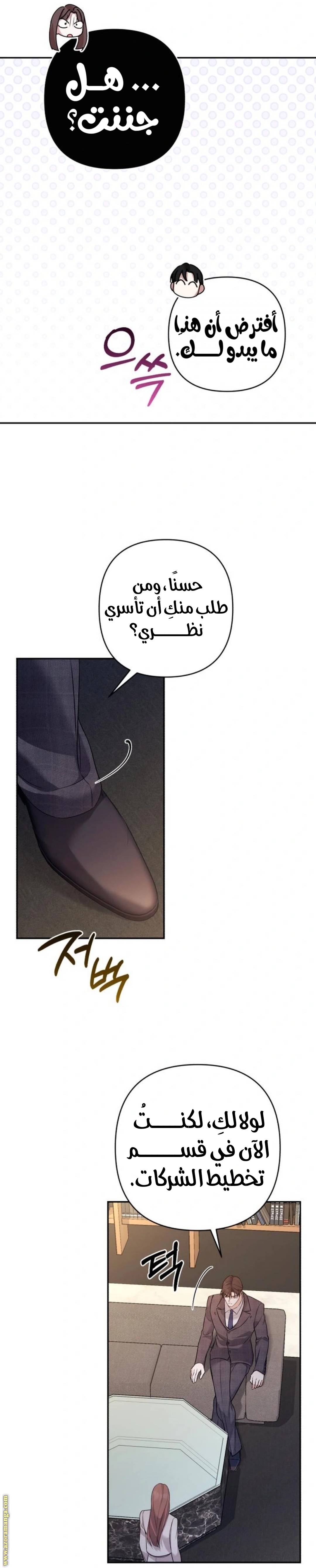 الصفحة 30