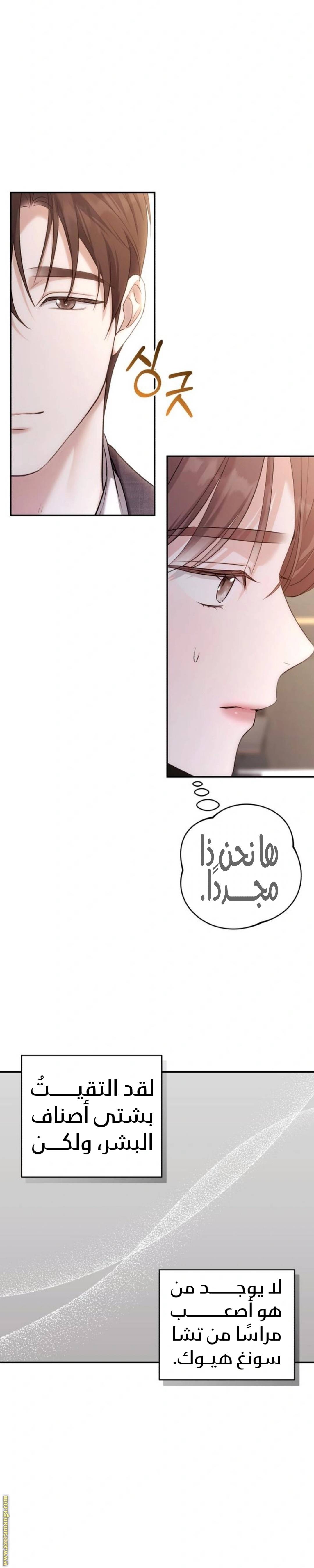 الصفحة 33
