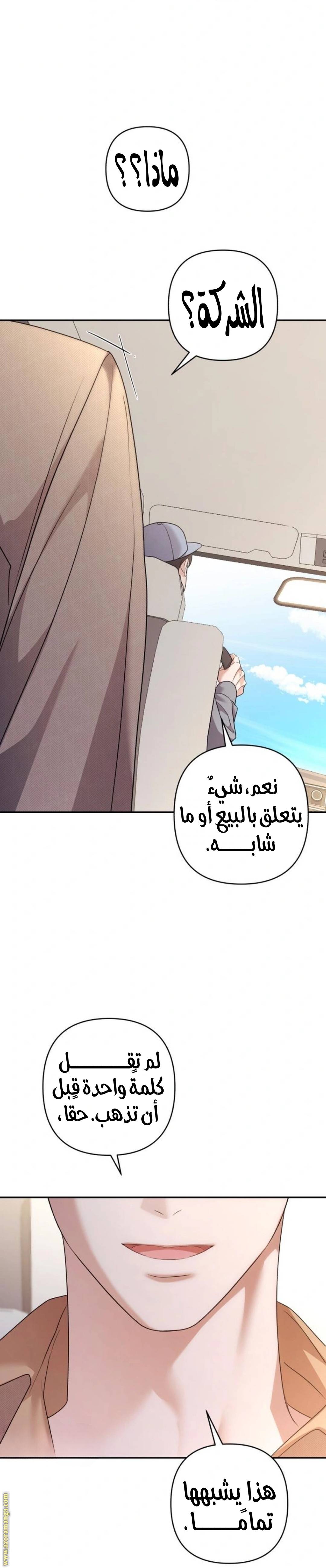 الصفحة 37
