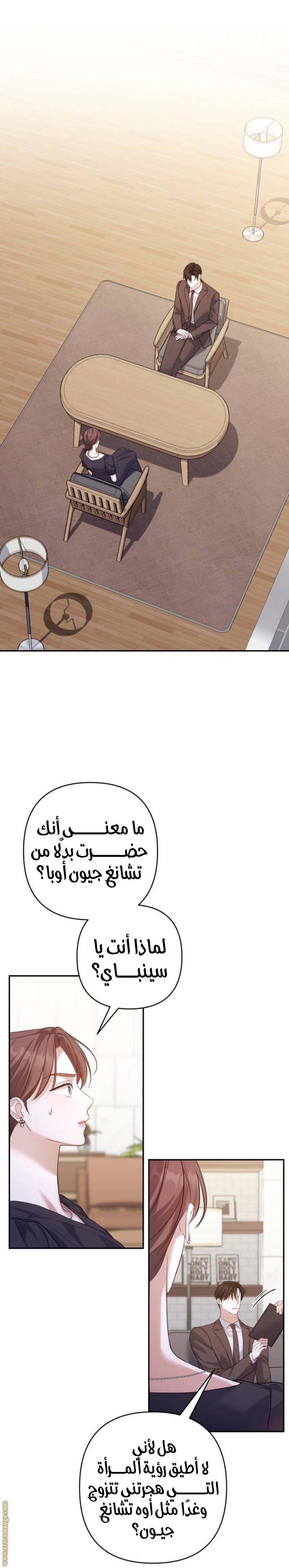 الصفحة 13