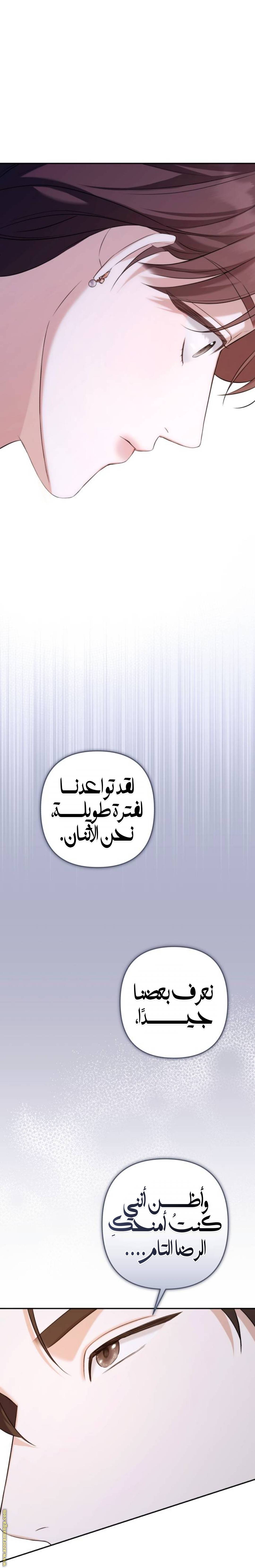 الصفحة 19