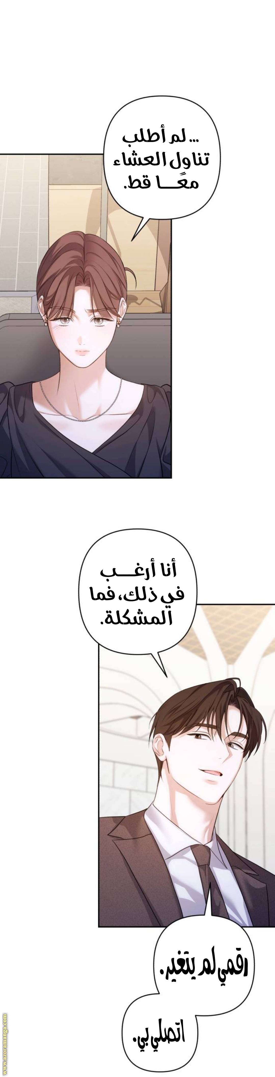 الصفحة 29