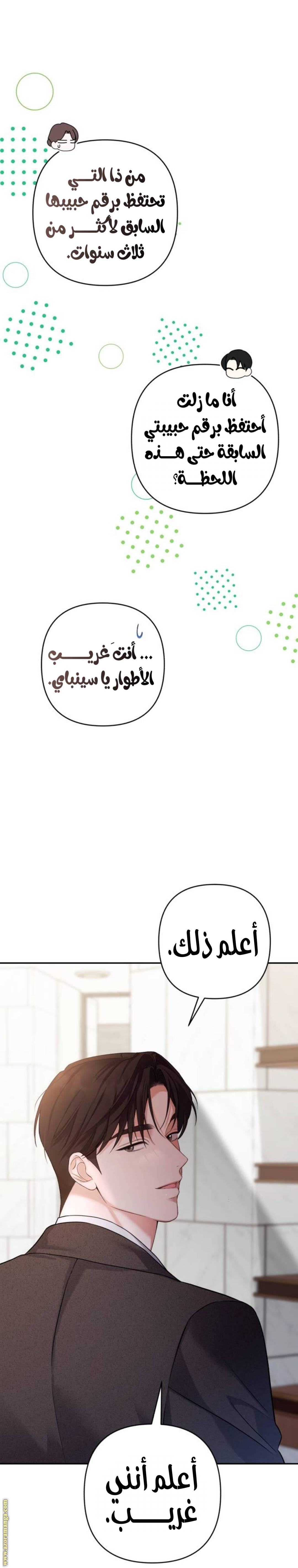 الصفحة 30