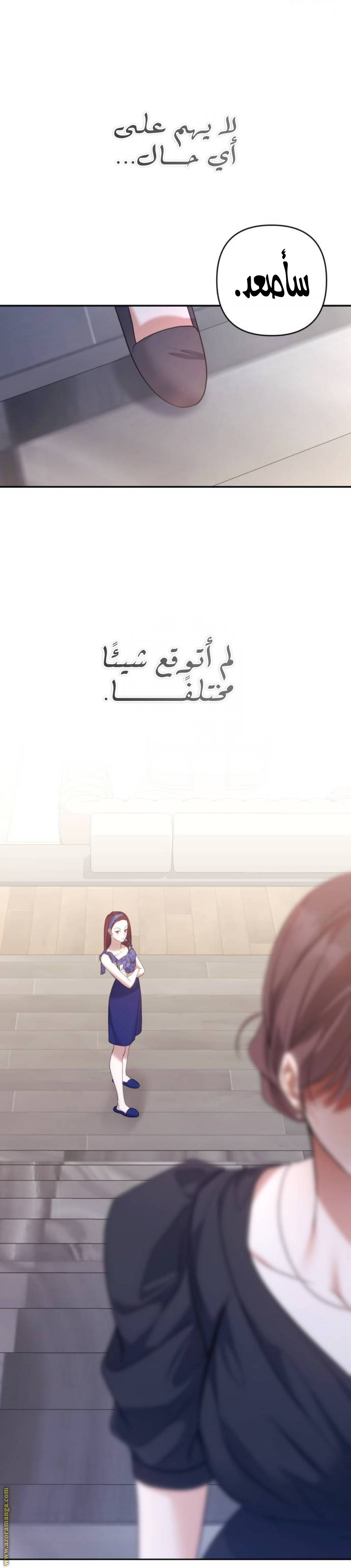الصفحة 38