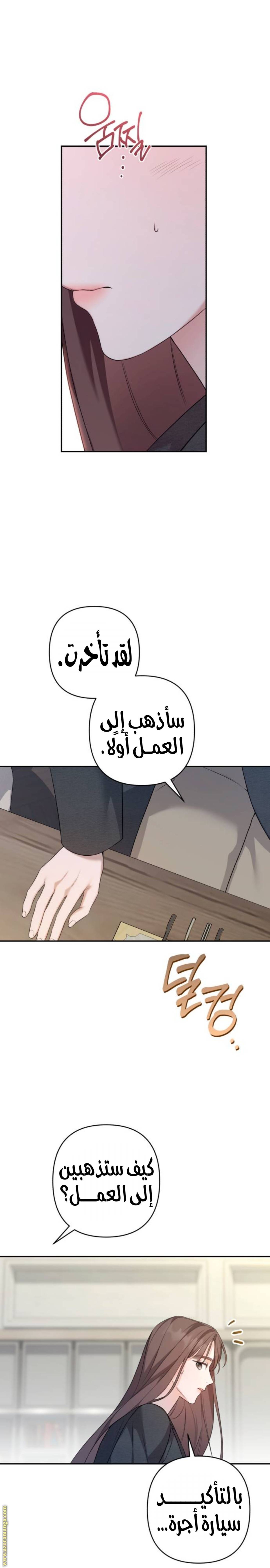 الصفحة 10
