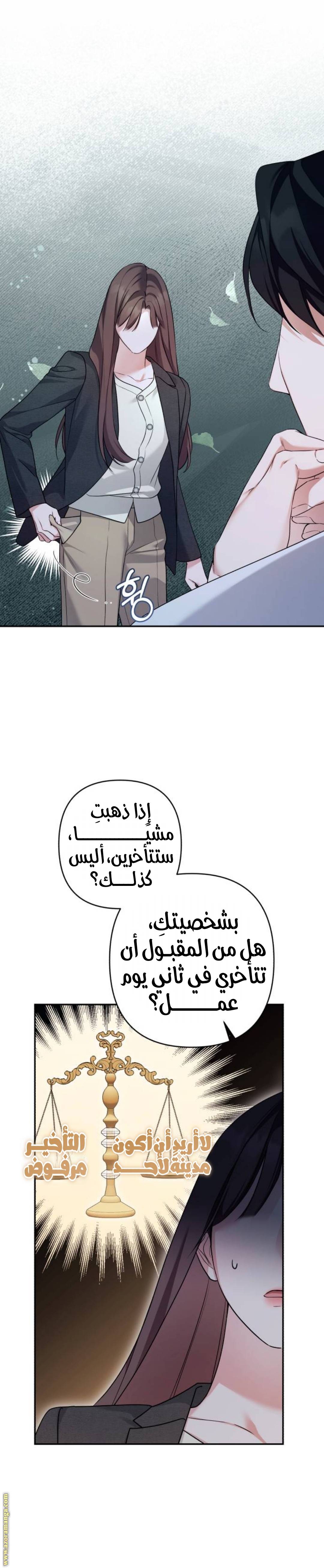 الصفحة 13
