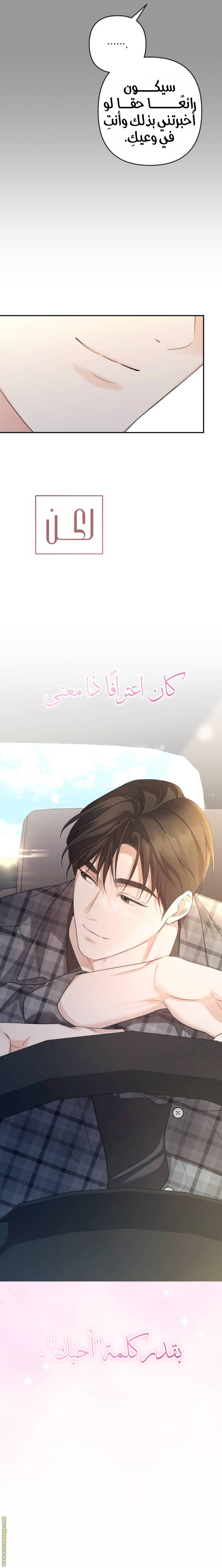 الصفحة 27
