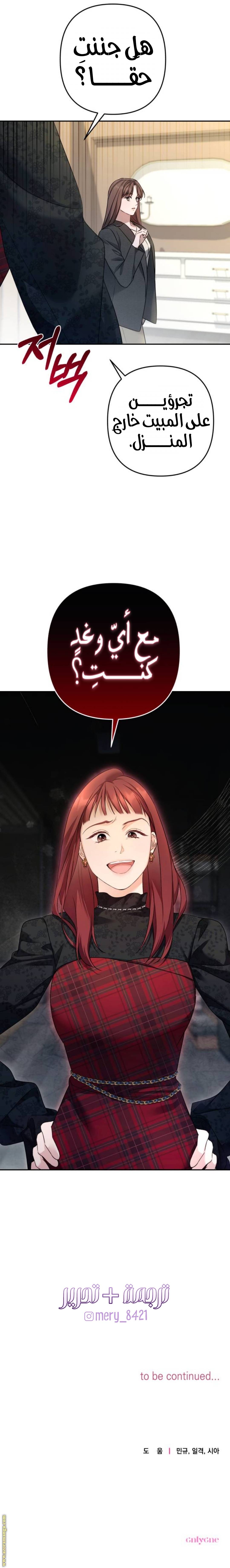 الصفحة 29