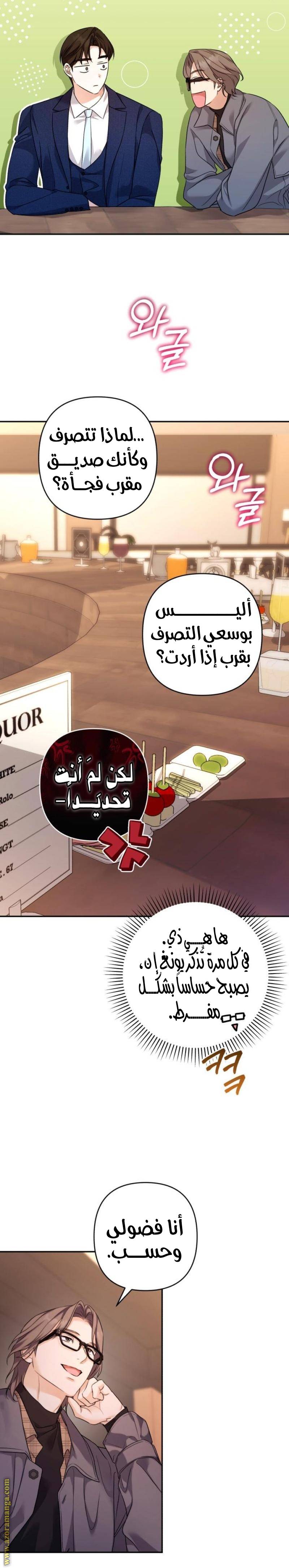 الصفحة 13