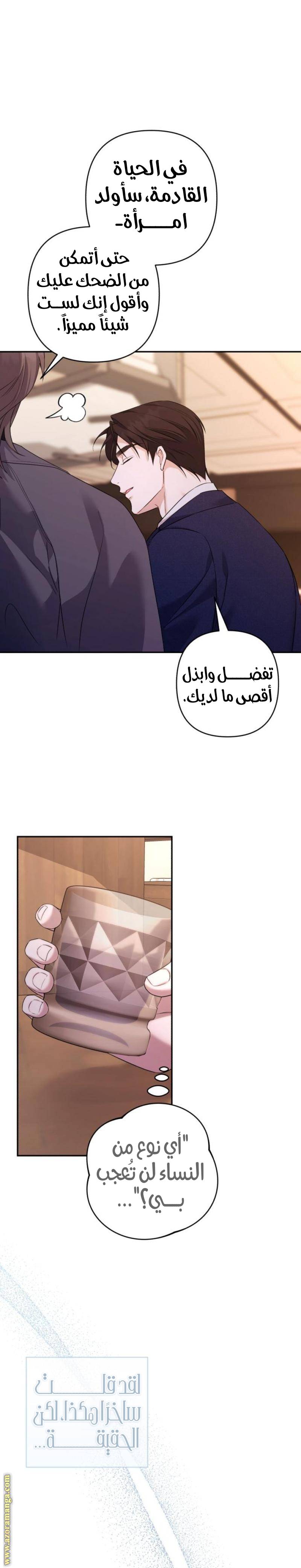 الصفحة 17