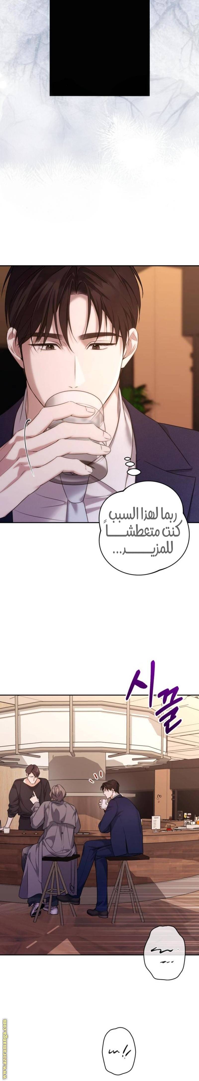 الصفحة 19