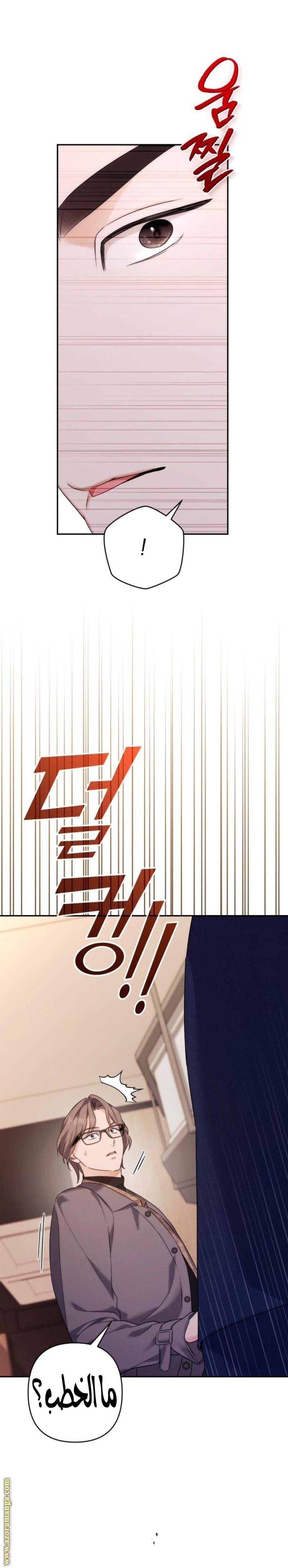 الصفحة 20