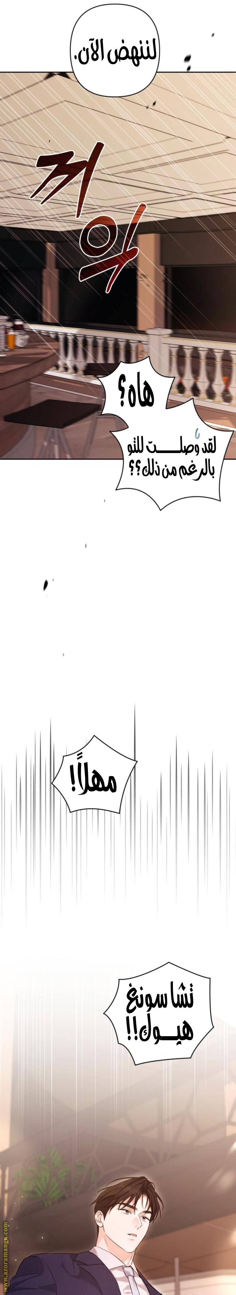 الصفحة 21